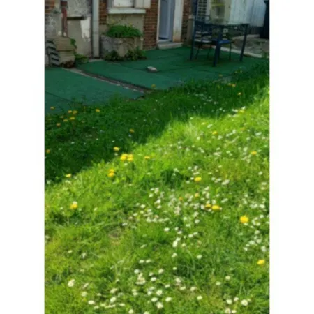 Fleurs De Lotus 1 Appartement Romilly-sur-Seine
